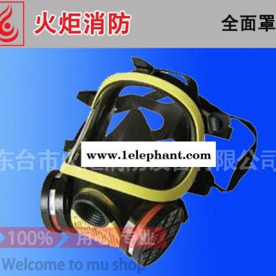 【直销】全面罩防毒面具 防毒呼吸器 全面罩滤毒罐 欢迎咨询图3