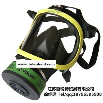全面罩 防毒面具图3