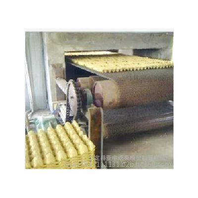 亚中纸浆成型设备 面具 蛋托 电器托 一次性花盆图4