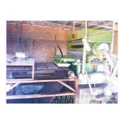 亚中纸浆成型设备 面具 蛋托 电器托 一次性花盆图2
