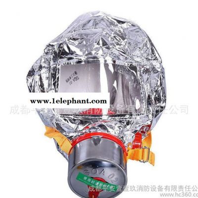 火灾逃生面具 过滤式自救呼吸器 直销 **消防救生工具图3
