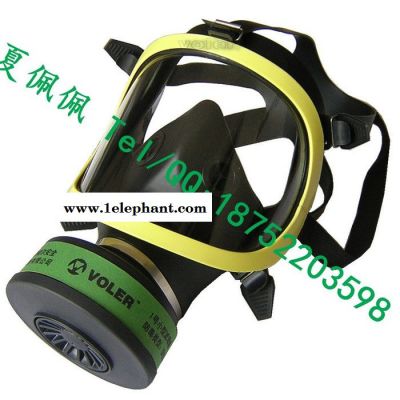 全面罩防毒面具/全面罩/防毒面具/防毒面罩/过滤式防毒面具图2