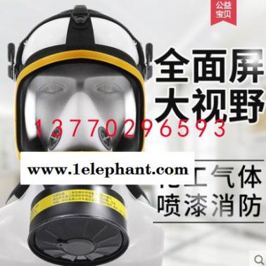 防毒面罩生化火灾气体一体式专业面具简易自吸过滤单兵全脸全面具