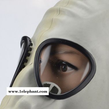 邦固mf1a防毒面具防甲醛一氧化碳硫化氢氨气有毒气体全面罩呼吸器