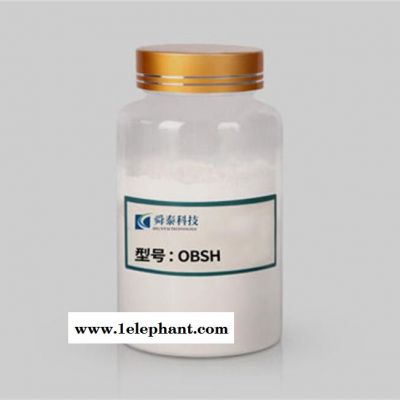 舜泰 OBSH  PVC拖鞋发泡图6