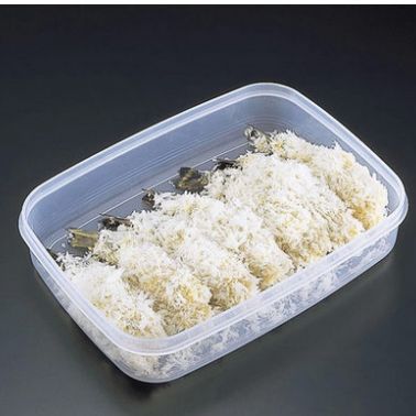 日本进口** SANADA冷冻饺子盒不粘冷藏水饺保鲜盒收纳盒 D-5665