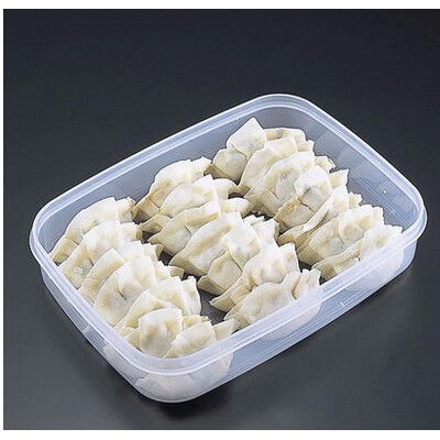 日本进口** SANADA冷冻饺子盒不粘冷藏水饺保鲜盒收纳盒 D-5665图2
