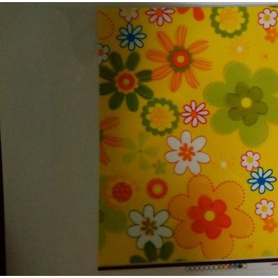 新生包装XLXL100 拖鞋转印膜CPP材料真空热转印拖鞋手机洞洞鞋膜纸 花纹热转印膜图2