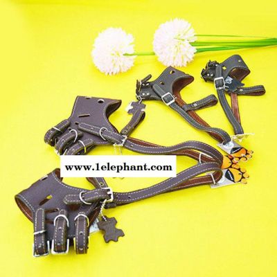 【猫王】 宠物用品 牛皮可调式口罩防狗狗咬口罩CD36可调节图3