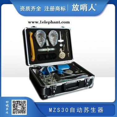 放哨人空气呼吸器 RHZK6.8消防空气呼吸器 碳纤维瓶 带他救接面罩 供气阀