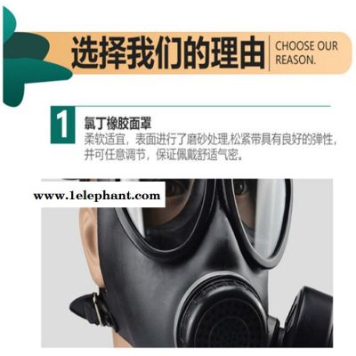 消防面具 FMJ05防毒面具套装 防毒面罩图2