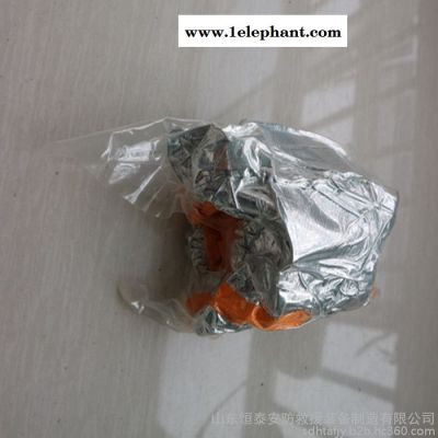 恒泰1空气呼吸器面罩 供应呼吸器防护面罩 防护全面罩**图2