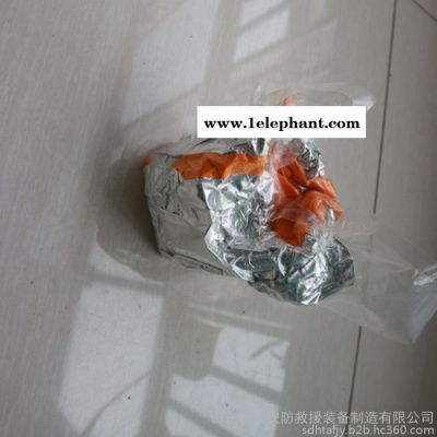 恒泰1空气呼吸器面罩 供应呼吸器防护面罩 防护全面罩**图3