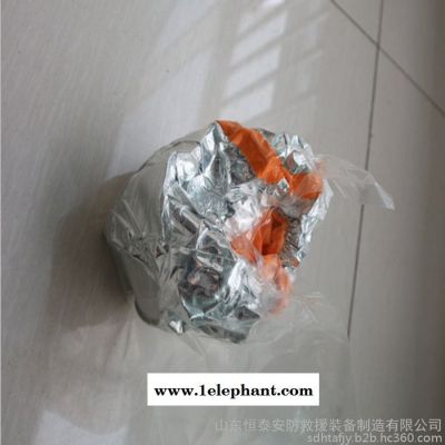 恒泰1空气呼吸器面罩 供应呼吸器防护面罩 防护全面罩**图6