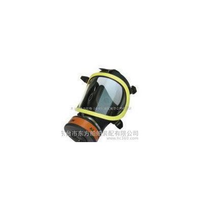 全面罩/全面具/防毒面具/防毒面罩/过滤式防毒面具图3