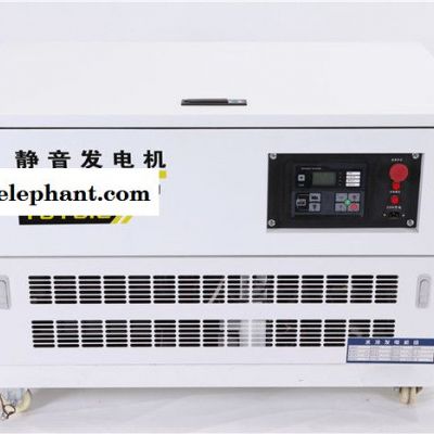 应急救援12KW水冷汽油发电机图6