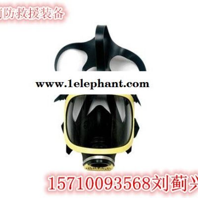 【全面罩防毒面具】型号【全面罩防毒面具价格】【全面罩防毒面具】参数【全面罩防毒面具】品牌图2