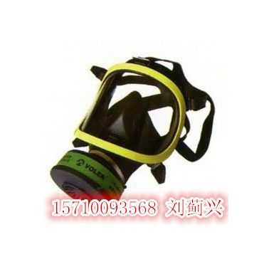 【全面罩防毒面具】型号【全面罩防毒面具价格】【全面罩防毒面具】参数【全面罩防毒面具】品牌