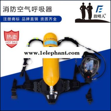 放哨人FSR0109自动苏生器  MZS30自动呼吸器  紧急呼吸急救