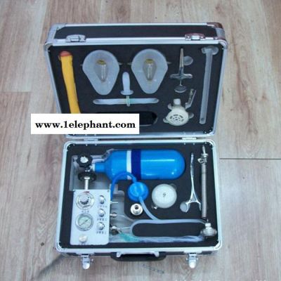 MZS-30自制氧急救器 医务外出便携高原缺氧急救器现货图5