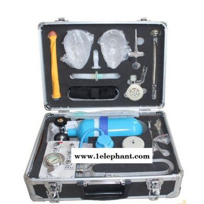 MZS-30自制氧急救器 医务外出便携高原缺氧急救器现货图4