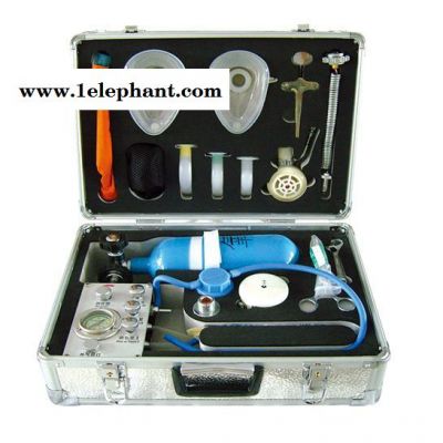 MZS-30自制氧急救器 医务外出便携高原缺氧急救器现货图2