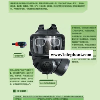 邦固FMJ08防毒面具防毒全面罩头戴式自吸过滤防毒面罩山西**图2