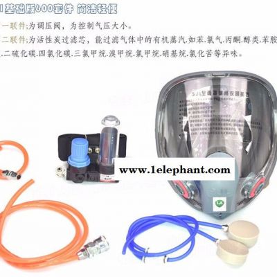 鑫励鼎德DDE-A1-600供气式全面罩 防尘面具 供气式呼吸器