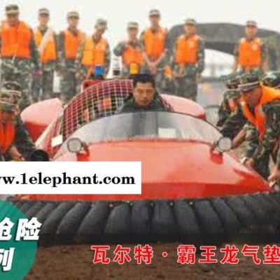 霸王龙水陆两栖气垫船 应急救援 旅游观光图7