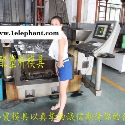 塑料模具 小霞模具专做 福迪车汽车面罩注塑模具 汽车大灯注塑模具 汽配保险杠注塑模具 汽配中网注塑模具厂家地址图5