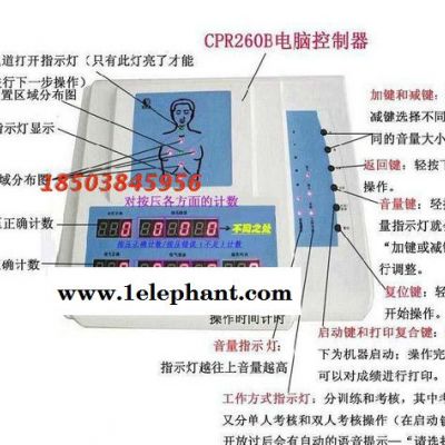 CPR300心肺复苏模拟人2014 急救人体模型 人工呼吸模