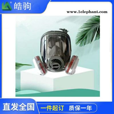 皓驹销售HJF05全面型呼吸防护器大视野面罩全面罩自吸过滤式防毒面具GB2890-2009过滤式呼吸防护器正压防护面罩滤图3