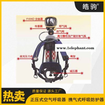RHZKF6.8/30空气呼吸器 全面罩呼吸器 携气式呼吸防护器图8