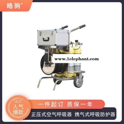RHZKF6.8/30空气呼吸器 全面罩呼吸器 携气式呼吸防护器图4