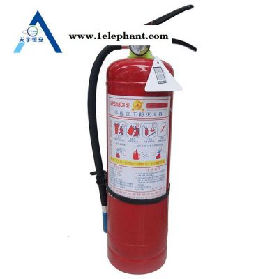 灭火器 应急灭火器 灭火器批发 楼道灭火器图2
