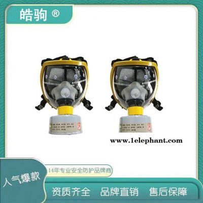 皓驹HJF05有机蒸汽酸性气体防毒口罩防毒半面罩自吸过滤式半面罩防毒面具GB2890-2009过滤式呼吸防护器图2