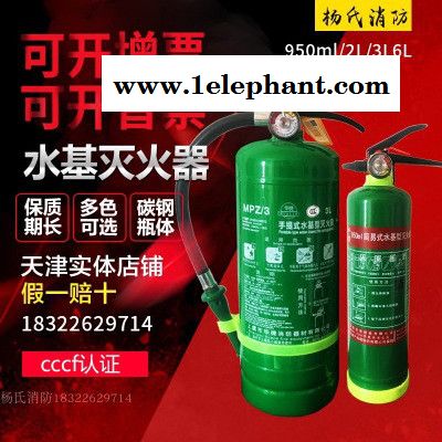 泉南消防MFZ/ABC 水基灭火器 汽车车载家用灭火器 泡沫灭火器 手提简易式水基型灭火器图3