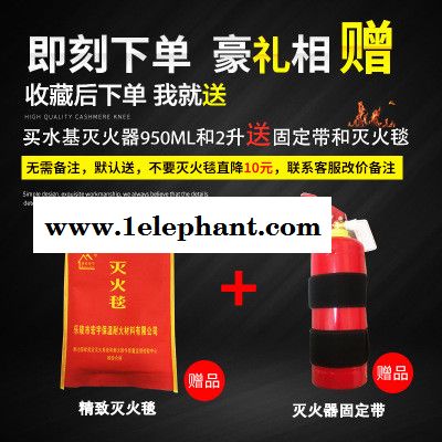 泉南消防MFZ/ABC 水基灭火器 汽车车载家用灭火器 泡沫灭火器 手提简易式水基型灭火器图4
