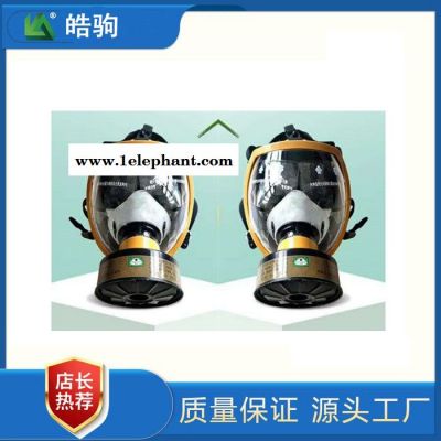 皓驹HJF05自吸式过滤式防毒面罩工农化工鬼脸面具全面型呼吸防护器全面型防护面罩GB2890-2009过滤式呼吸防护器图4
