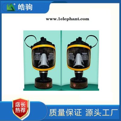 皓驹销售HJF05自吸式过滤式防毒面罩工农化工防毒面罩全面型呼吸防护器GB2890-2009便携式过滤式呼吸防护器滤毒罐图4