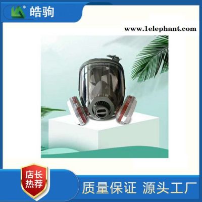 皓驹销售HJF05自吸式过滤式防毒面罩工农化工防毒面罩全面型呼吸防护器GB2890-2009便携式过滤式呼吸防护器滤毒罐图6