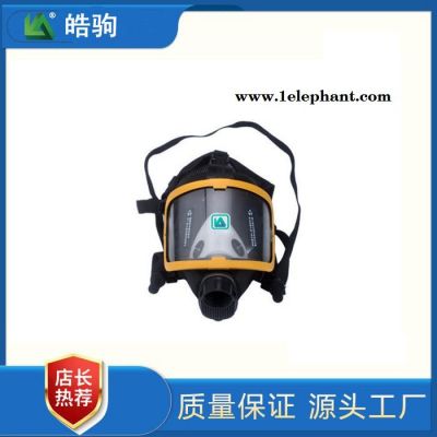 皓驹销售HJF05自吸式过滤式防毒面罩工农化工防毒面罩全面型呼吸防护器GB2890-2009便携式过滤式呼吸防护器滤毒罐图8