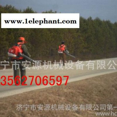 54型吹风机 大棚吹雪机 森林灭火器 马路除尘机器 13562706597图3