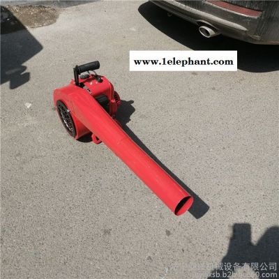 大功率吹雪机 风力灭火器机 手提式吹风机山东发货图5