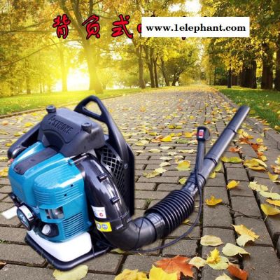 启航背负式风机风力灭火器 大棚吹雪机图6