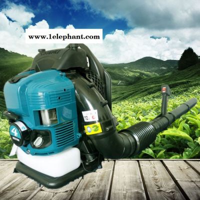 启航背负式风机风力灭火器 大棚吹雪机图2