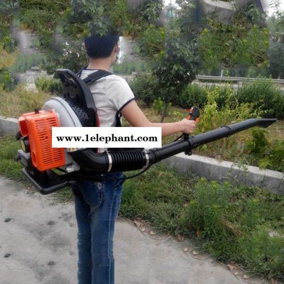 启航背负式风机风力灭火器 大棚吹雪机图8