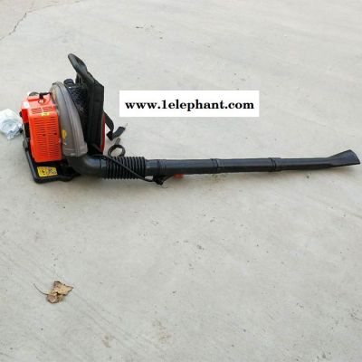 背负式灭火器 路面清洁吹风机 大功率背负式灭火器森林灭火机图8