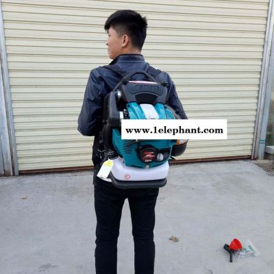 背负式灭火器 路面清洁吹风机 大功率背负式灭火器森林灭火机图3