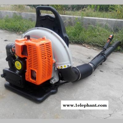 手提式汽油吹吸机 大棚吹雪机 小型灭火器图8